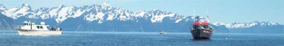 Fishing, scenic tours, kayaking,  water taxi, lots of water-based activities, 'A Bed By The Bay'  Seward Alaska